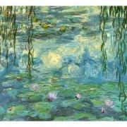 Monet16