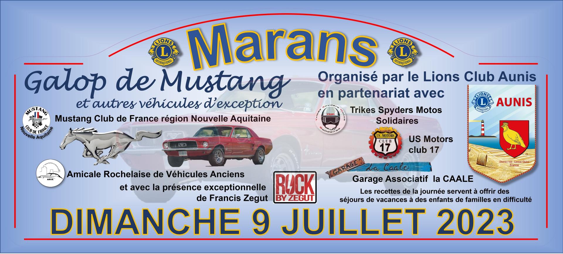 Plaque rallye 8 demi